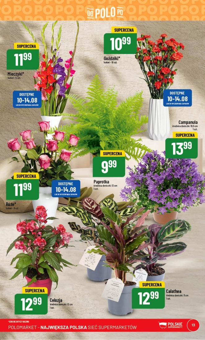Gazetka promocyjna POLOmarket str. 13