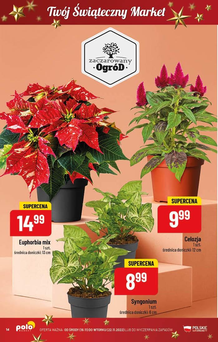 Gazetka promocyjna POLOmarket str. 14