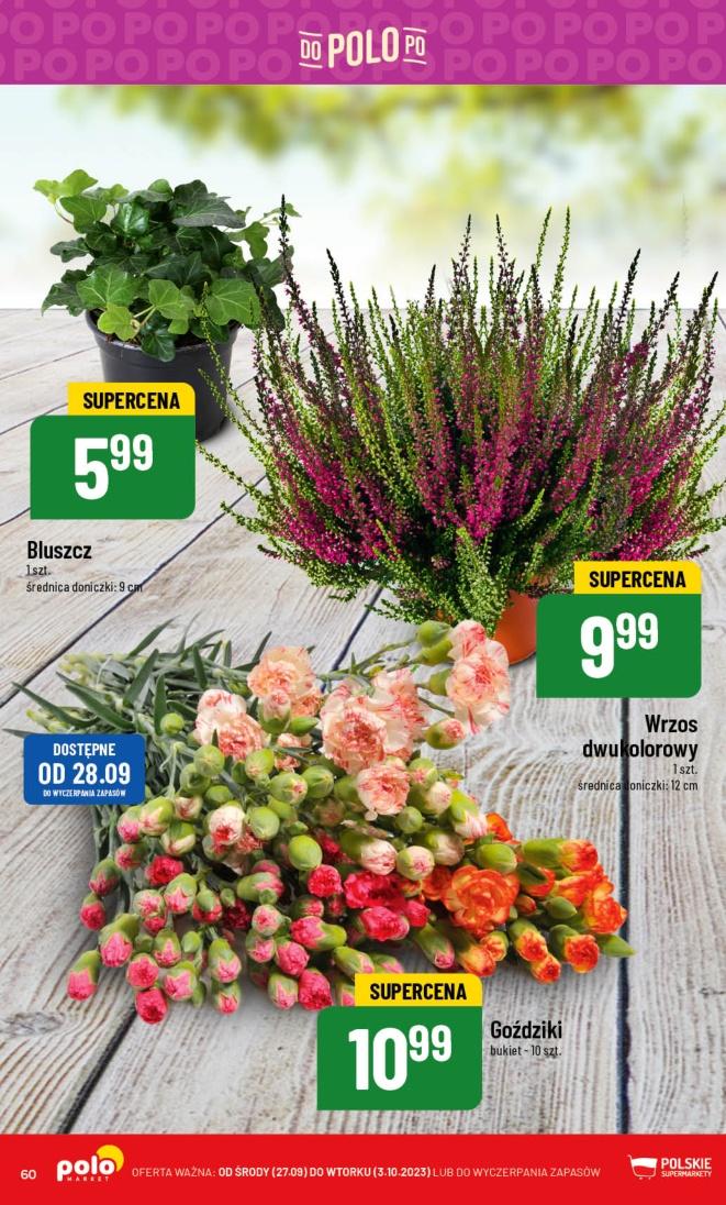 Gazetka promocyjna POLOmarket str. 60