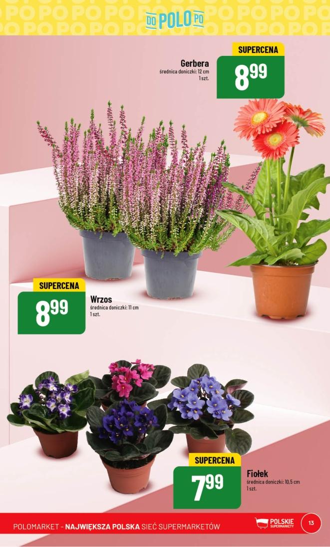 Gazetka promocyjna POLOmarket str. 13