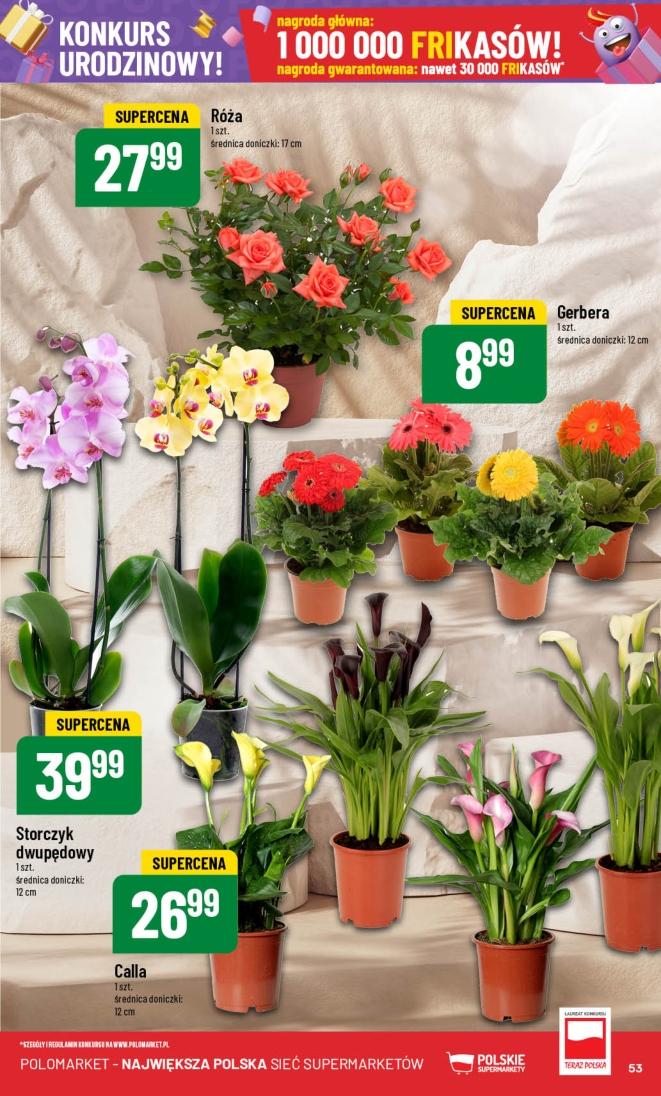 Gazetka promocyjna POLOmarket str. 53