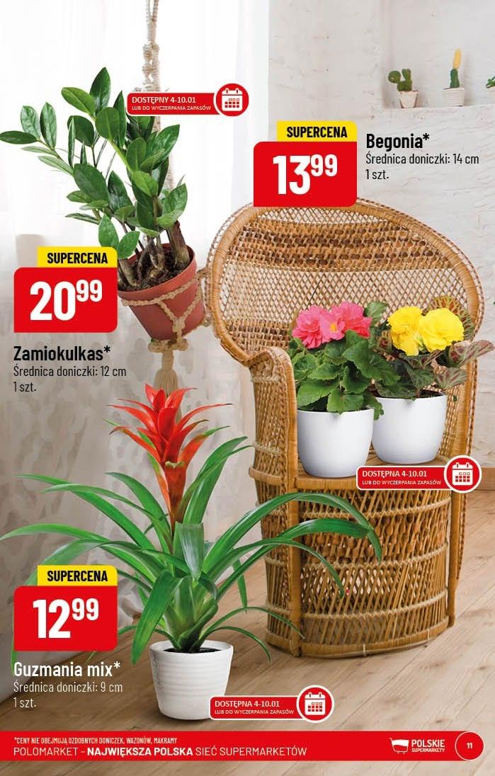 Gazetka promocyjna POLOmarket str. 11