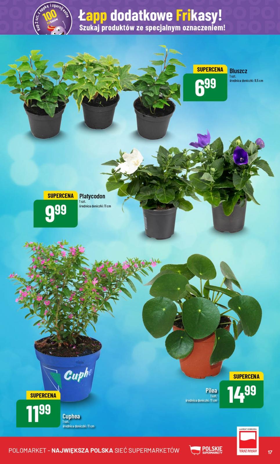 Gazetka promocyjna POLOmarket str. 17